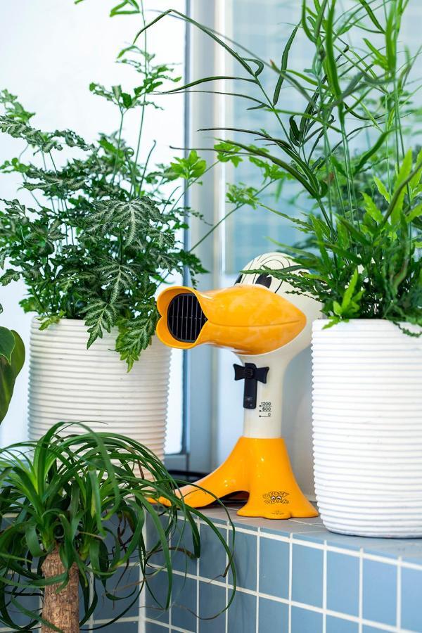 Island In Island, B&B Boutique, Design Et Vintage Namen Buitenkant foto
